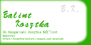 balint kosztka business card